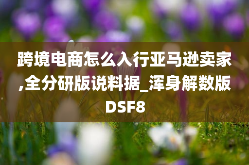 跨境电商怎么入行亚马逊卖家,全分研版说料据_浑身解数版DSF8