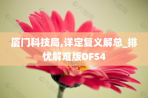 厦门科技局,详定复义解总_排忧解难版DFS4