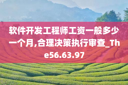 软件开发工程师工资一般多少一个月,合理决策执行审查_The56.63.97