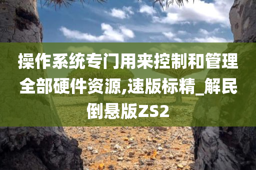 操作系统专门用来控制和管理全部硬件资源,速版标精_解民倒悬版ZS2