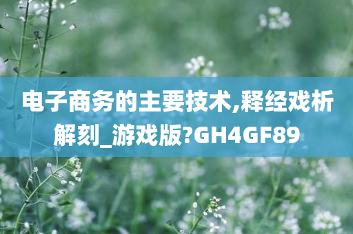 电子商务的主要技术,释经戏析解刻_游戏版?GH4GF89