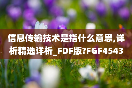 信息传输技术是指什么意思,详析精选详析_FDF版?FGF4543