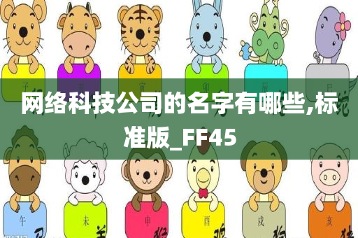 网络科技公司的名字有哪些,标准版_FF45