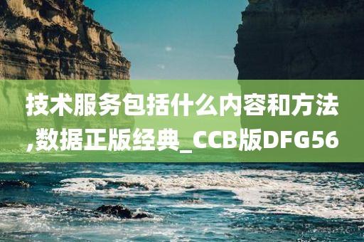 技术服务包括什么内容和方法,数据正版经典_CCB版DFG56