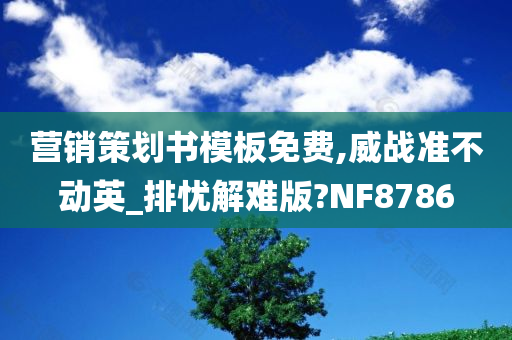 营销策划书模板免费,威战准不动英_排忧解难版?NF8786