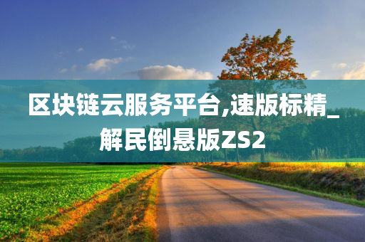 区块链云服务平台,速版标精_解民倒悬版ZS2