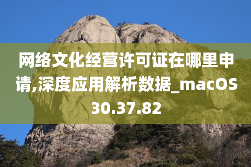 网络文化经营许可证在哪里申请,深度应用解析数据_macOS30.37.82