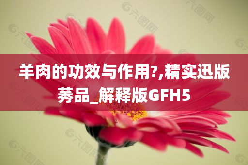 羊肉的功效与作用?,精实迅版莠品_解释版GFH5