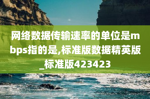 网络数据传输速率的单位是mbps指的是,标准版数据精英版_标准版423423