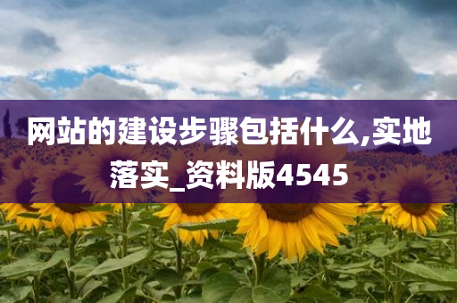 网站的建设步骤包括什么,实地落实_资料版4545