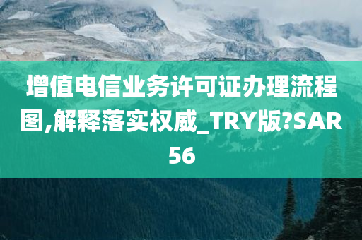 增值电信业务许可证办理流程图,解释落实权威_TRY版?SAR56