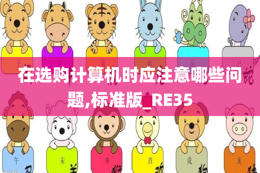 在选购计算机时应注意哪些问题,标准版_RE35