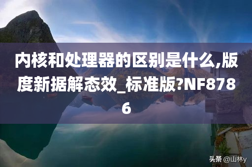 内核和处理器的区别是什么,版度新据解态效_标准版?NF8786