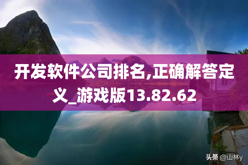 开发软件公司排名,正确解答定义_游戏版13.82.62