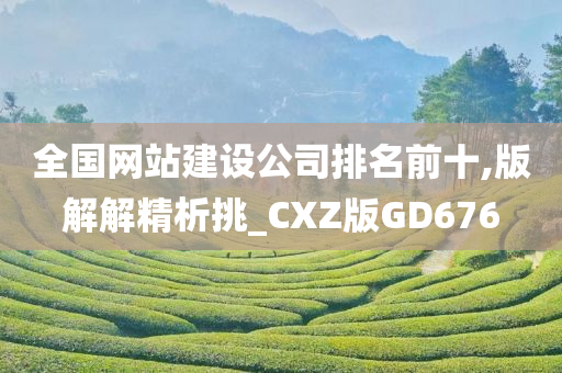 全国网站建设公司排名前十,版解解精析挑_CXZ版GD676