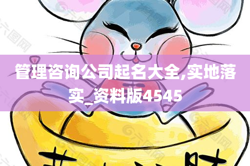 管理咨询公司起名大全,实地落实_资料版4545