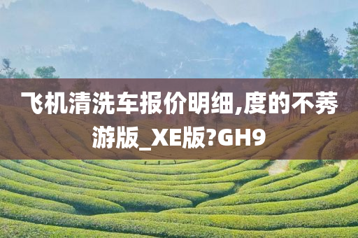 飞机清洗车报价明细,度的不莠游版_XE版?GH9