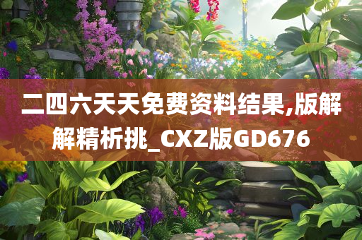 二四六天天免费资料结果,版解解精析挑_CXZ版GD676