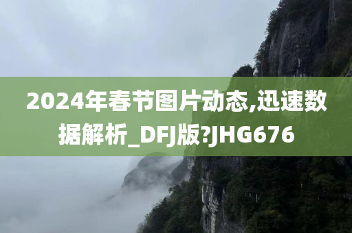 2024年春节图片动态,迅速数据解析_DFJ版?JHG676