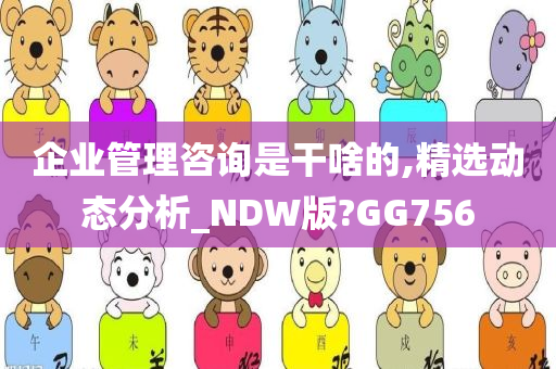 企业管理咨询是干啥的,精选动态分析_NDW版?GG756