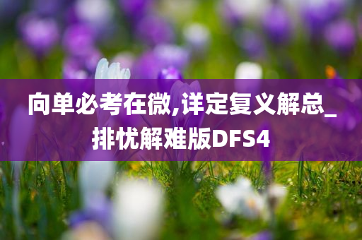 向单必考在微,详定复义解总_排忧解难版DFS4