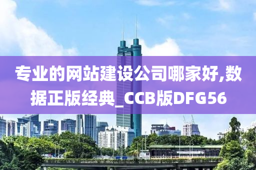 专业的网站建设公司哪家好,数据正版经典_CCB版DFG56