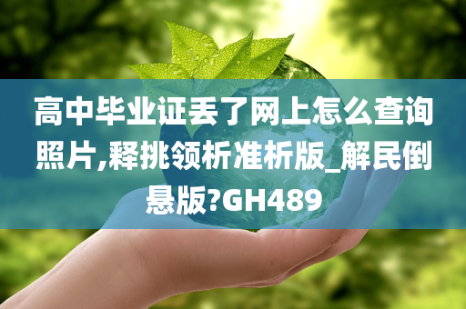 高中毕业证丢了网上怎么查询照片,释挑领析准析版_解民倒悬版?GH489