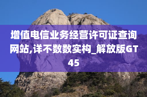 增值电信业务经营许可证查询网站,详不数数实构_解放版GT45