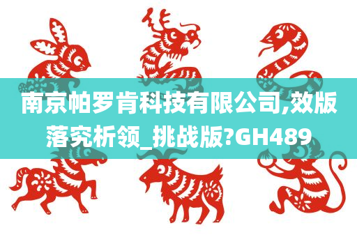 南京帕罗肯科技有限公司,效版落究析领_挑战版?GH489