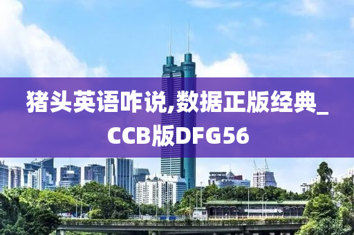 猪头英语咋说,数据正版经典_CCB版DFG56