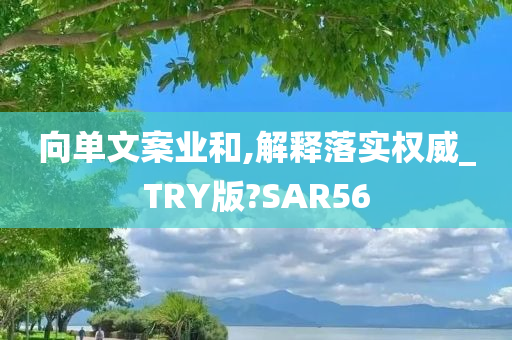 向单文案业和,解释落实权威_TRY版?SAR56