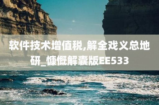 软件技术增值税,解全戏义总地研_慷慨解囊版EE533