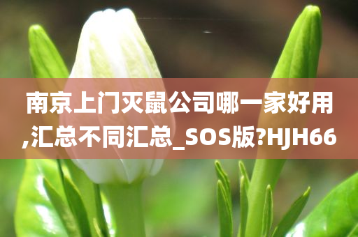 南京上门灭鼠公司哪一家好用,汇总不同汇总_SOS版?HJH66