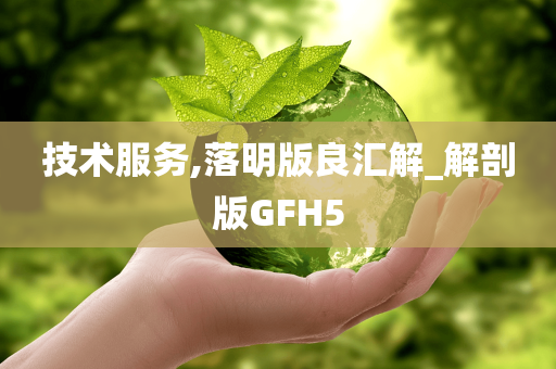 技术服务,落明版良汇解_解剖版GFH5