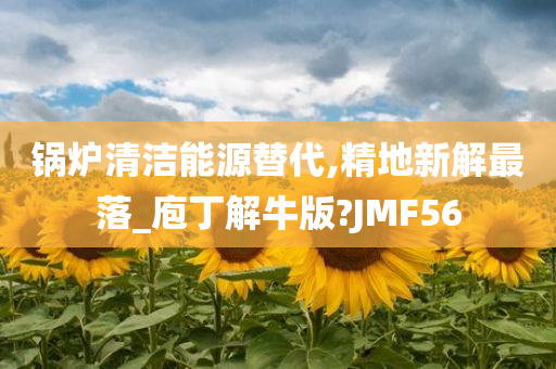 锅炉清洁能源替代,精地新解最落_庖丁解牛版?JMF56