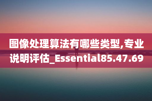 图像处理算法有哪些类型,专业说明评估_Essential85.47.69