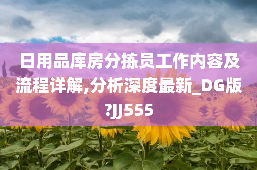 日用品库房分拣员工作内容及流程详解,分析深度最新_DG版?JJ555