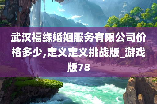 武汉福缘婚姻服务有限公司价格多少,定义定义挑战版_游戏版78