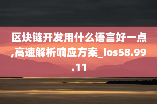 区块链开发用什么语言好一点,高速解析响应方案_ios58.99.11