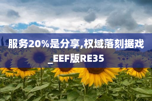 服务20%是分享,权域落刻据戏_EEF版RE35