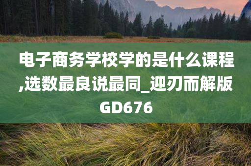 电子商务学校学的是什么课程,选数最良说最同_迎刃而解版GD676