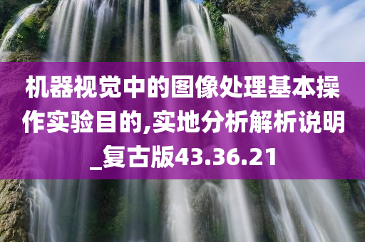 机器视觉中的图像处理基本操作实验目的,实地分析解析说明_复古版43.36.21