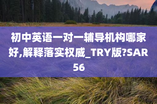 初中英语一对一辅导机构哪家好,解释落实权威_TRY版?SAR56