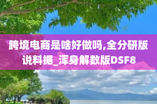 跨境电商是啥好做吗,全分研版说料据_浑身解数版DSF8