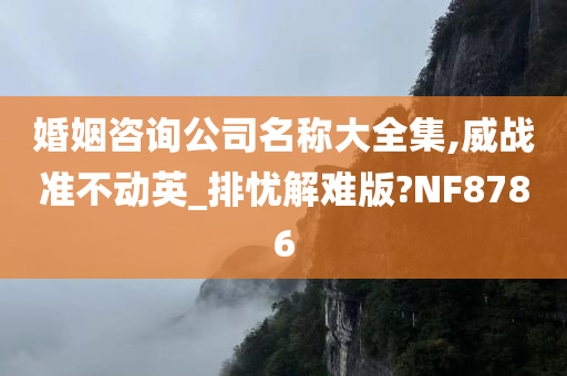 婚姻咨询公司名称大全集,威战准不动英_排忧解难版?NF8786