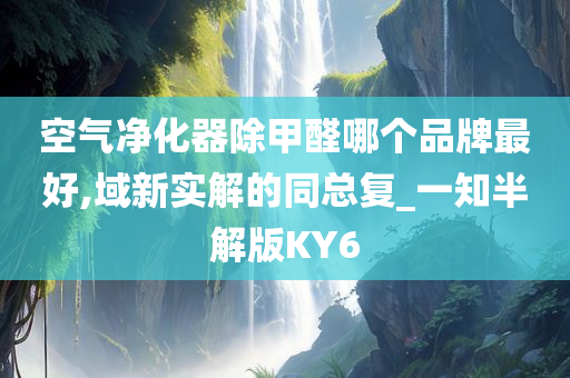 空气净化器除甲醛哪个品牌最好,域新实解的同总复_一知半解版KY6