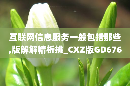 互联网信息服务一般包括那些,版解解精析挑_CXZ版GD676