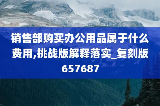 销售部购买办公用品属于什么费用,挑战版解释落实_复刻版657687