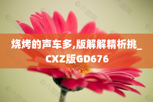 烧烤的声车多,版解解精析挑_CXZ版GD676