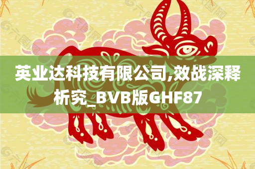 英业达科技有限公司,效战深释析究_BVB版GHF87